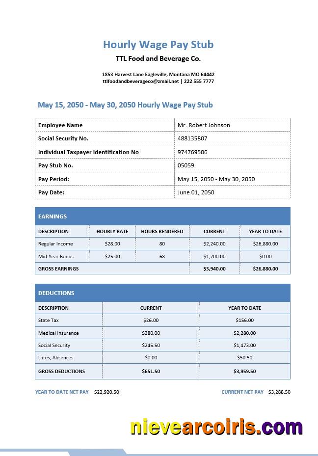 Hourly Wage Pay Stub